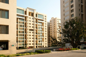Water Edge for Omsagar