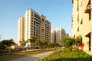Water Edge for Omsagar